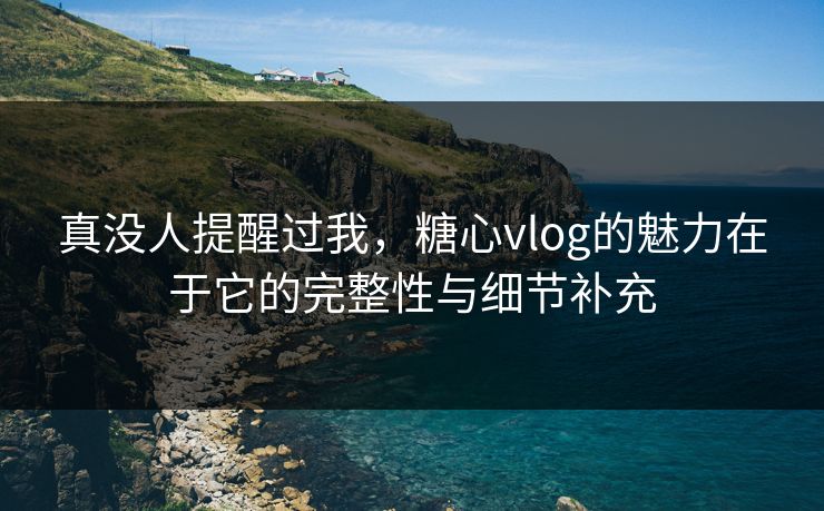 真没人提醒过我，糖心vlog的魅力在于它的完整性与细节补充