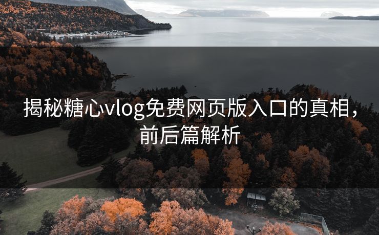 揭秘糖心vlog免费网页版入口的真相，前后篇解析