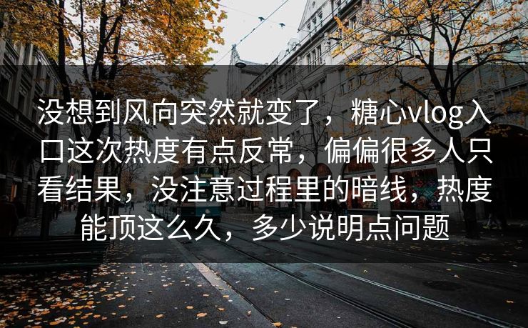 没想到风向突然就变了，糖心vlog入口这次热度有点反常，偏偏很多人只看结果，没注意过程里的暗线，热度能顶这么久，多少说明点问题