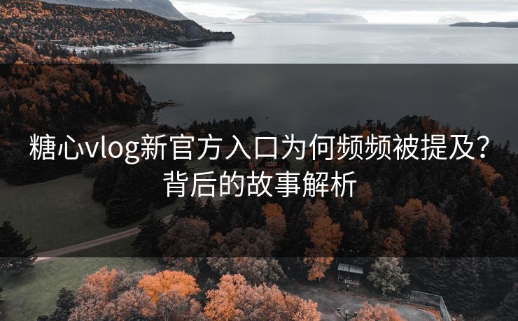 糖心vlog新官方入口为何频频被提及？背后的故事解析