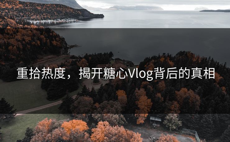重拾热度，揭开糖心Vlog背后的真相