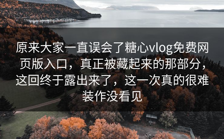 原来大家一直误会了糖心vlog免费网页版入口，真正被藏起来的那部分，这回终于露出来了，这一次真的很难装作没看见