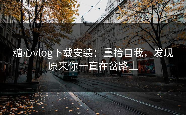 糖心vlog下载安装：重拾自我，发现原来你一直在岔路上
