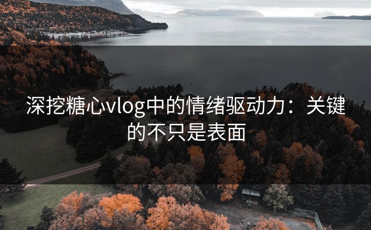 深挖糖心vlog中的情绪驱动力:关键的不只是表面 深挖糖心vlog中的情绪驱动力:关键的不只是表面