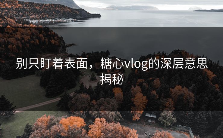 别只盯着表面，糖心vlog的深层意思揭秘
